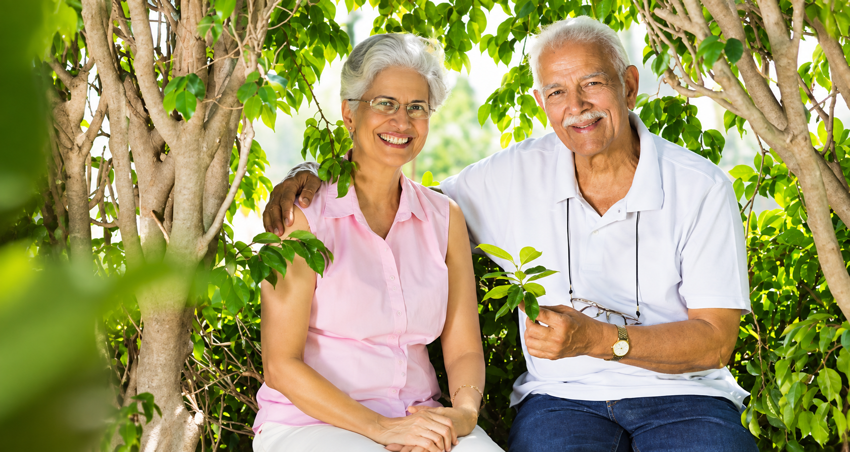 Healthy ageing and senior citizen wellness